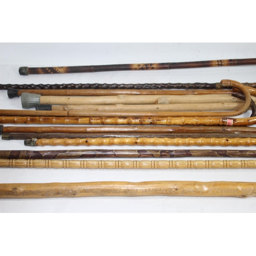 607 - LARGE QUANTITY OF WOODEN WALKING STICKS