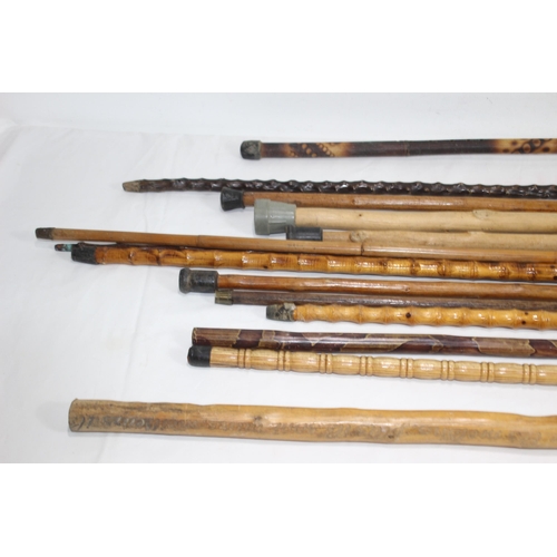 607 - LARGE QUANTITY OF WOODEN WALKING STICKS