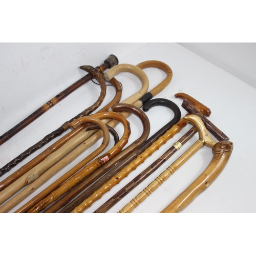 607 - LARGE QUANTITY OF WOODEN WALKING STICKS