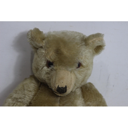 681 - FARNELL TEDDY BEAR
47CM