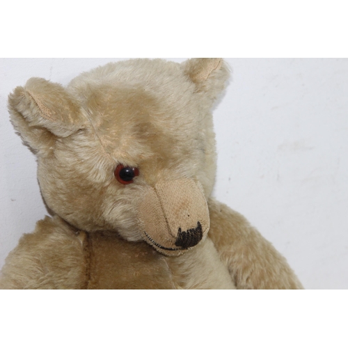 681 - FARNELL TEDDY BEAR
47CM