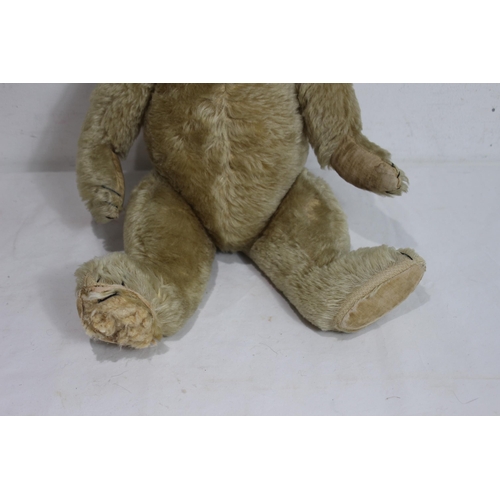 681 - FARNELL TEDDY BEAR
47CM