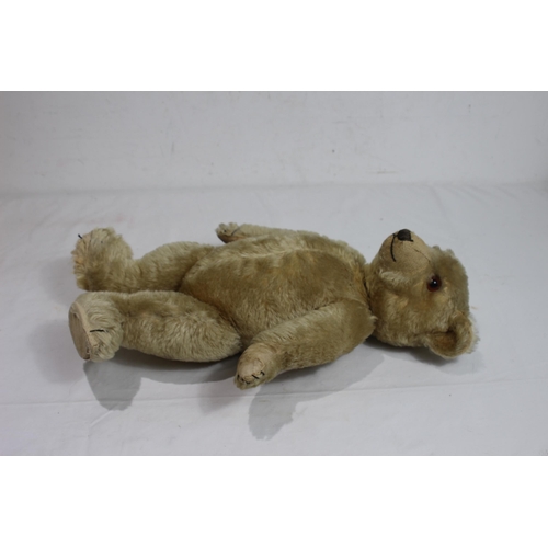 681 - FARNELL TEDDY BEAR
47CM