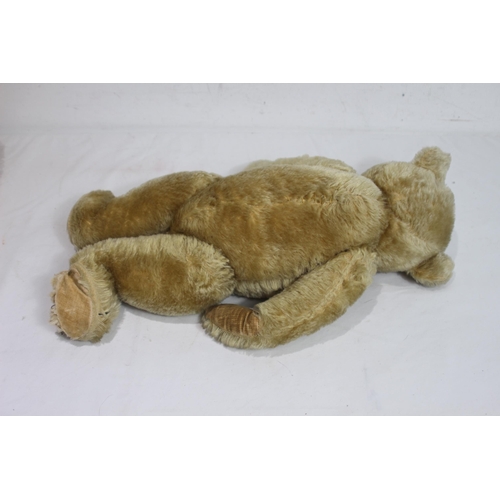 681 - FARNELL TEDDY BEAR
47CM