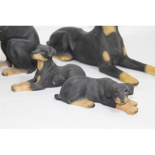 825 - 4 X DOBERMAN FIGURES 
26CM