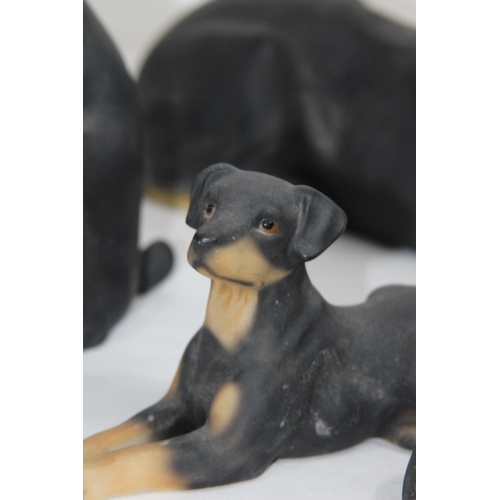 825 - 4 X DOBERMAN FIGURES 
26CM