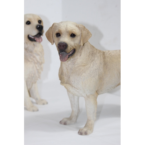 832 - 3 X LABRADOR FIGURES 
34CM