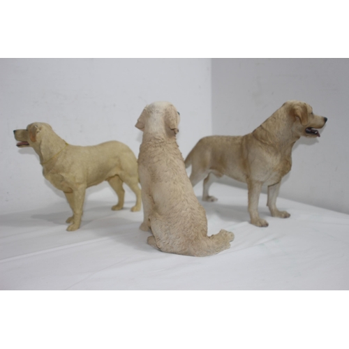 832 - 3 X LABRADOR FIGURES 
34CM