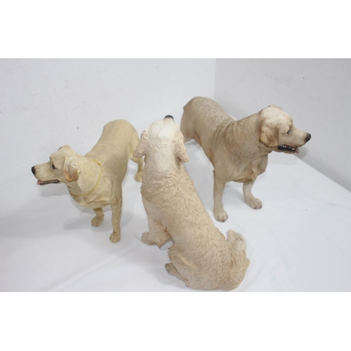 832 - 3 X LABRADOR FIGURES 
34CM