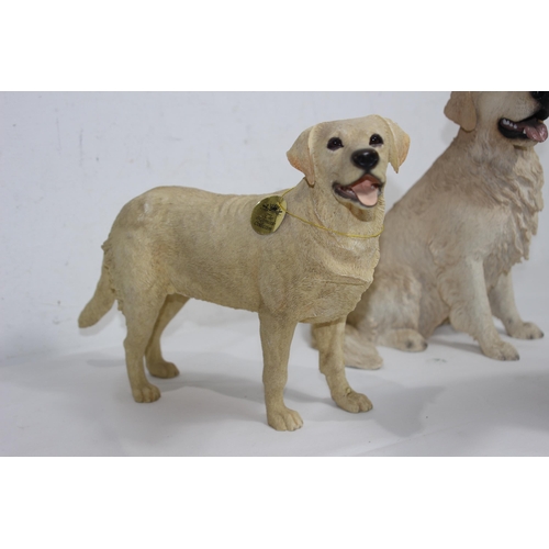 832 - 3 X LABRADOR FIGURES 
34CM