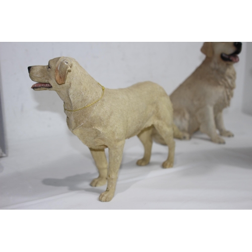 832 - 3 X LABRADOR FIGURES 
34CM