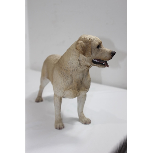 832 - 3 X LABRADOR FIGURES 
34CM