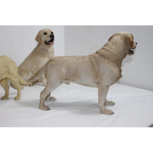 832 - 3 X LABRADOR FIGURES 
34CM