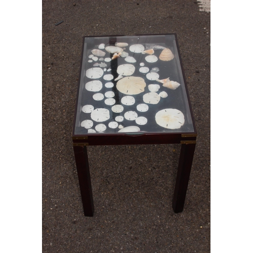 124 - DISPLAY TABLE WITH ASSORTED SHELLS 
60 X 40 X 45CM