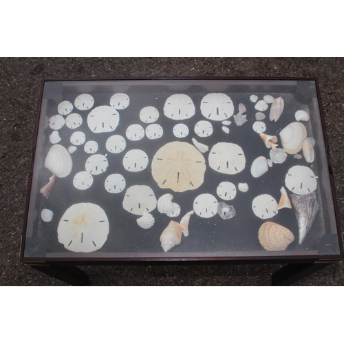 124 - DISPLAY TABLE WITH ASSORTED SHELLS 
60 X 40 X 45CM