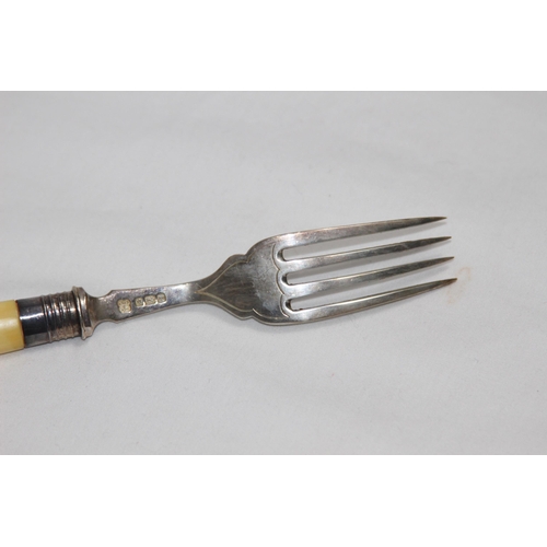 1051 - GARRARD AND COMPANY CASED SET OF 12 SILVER AND BONE HANDLED FISH KNIFES AND FORKS MADE BY MARTIN HAL... 