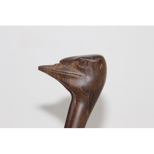 919 - CARVED WOODEN FIGURE OF OSTRICH AND ITS BABY SIGNED J. NGILA
30CM