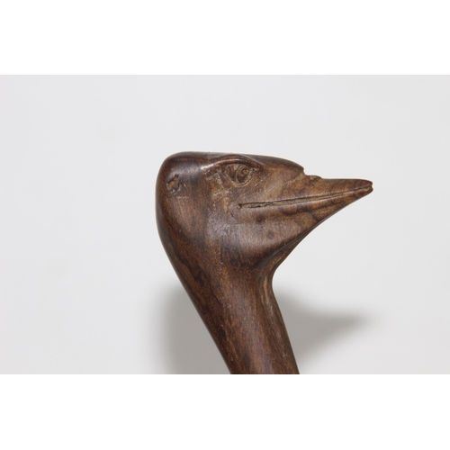 919 - CARVED WOODEN FIGURE OF OSTRICH AND ITS BABY SIGNED J. NGILA
30CM