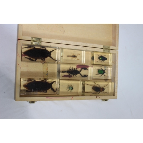 410 - SET OF CASED BUGS