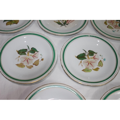 247 - QUANTITY OF DINNER PLATES 
23CM