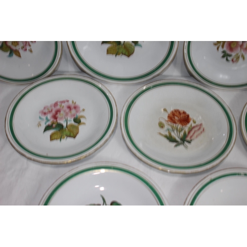 247 - QUANTITY OF DINNER PLATES 
23CM