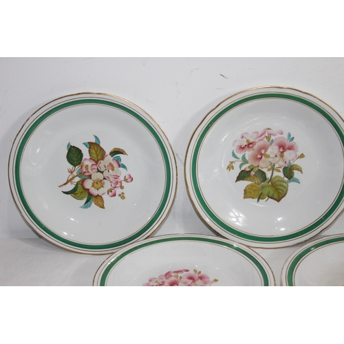 247 - QUANTITY OF DINNER PLATES 
23CM