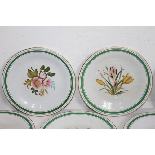 247 - QUANTITY OF DINNER PLATES 
23CM