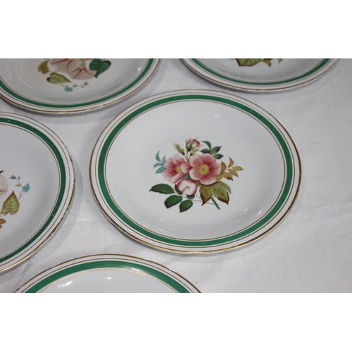 247 - QUANTITY OF DINNER PLATES 
23CM