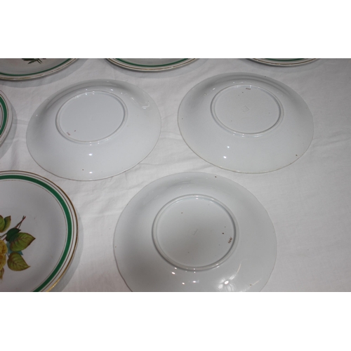 247 - QUANTITY OF DINNER PLATES 
23CM