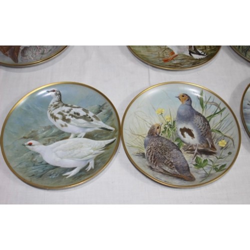 252 - LARGE QUANTITY OF VINTAGE FRANKLIN PORCELAIN BIRD PICTURE PLATES