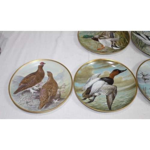 252 - LARGE QUANTITY OF VINTAGE FRANKLIN PORCELAIN BIRD PICTURE PLATES