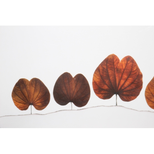 176 - SIGNED LEAVES PRINT 
42 X 32CM