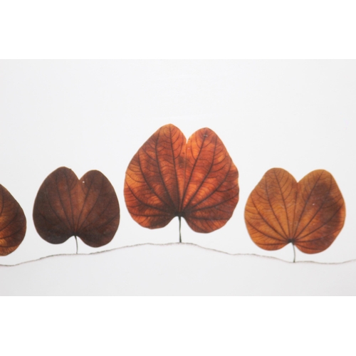 176 - SIGNED LEAVES PRINT 
42 X 32CM