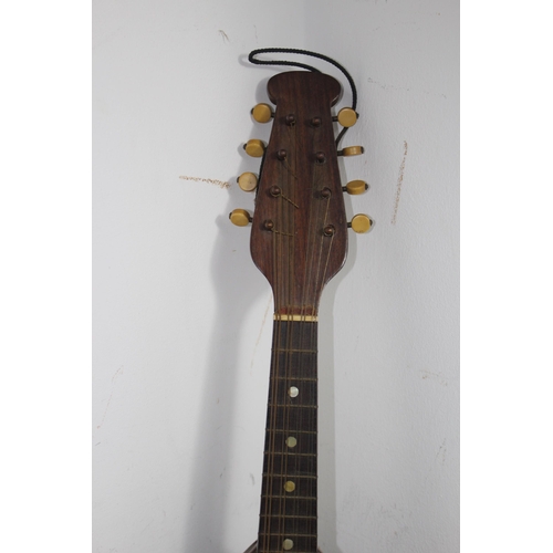 315 - VINTAGE CASED MANDOLIN