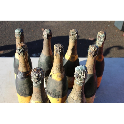 689 - QUANTITY OF VINTAGE CHAMPAGNE x9 - BLOWN