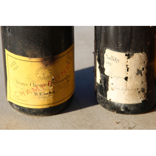 689 - QUANTITY OF VINTAGE CHAMPAGNE x9 - BLOWN