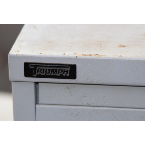 124 - PAIR OF TRIUMPH FILING CABINETS 
47 X 37 X 36CM