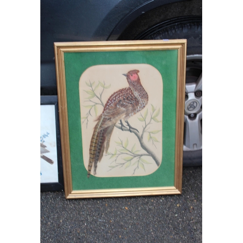 147 - QUANTITY OF BIRD PICTURES MADE FROM ORIGINAL FEATHERS (MQ)
68 X 50CM