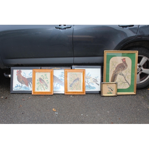 147 - QUANTITY OF BIRD PICTURES MADE FROM ORIGINAL FEATHERS (MQ)
68 X 50CM