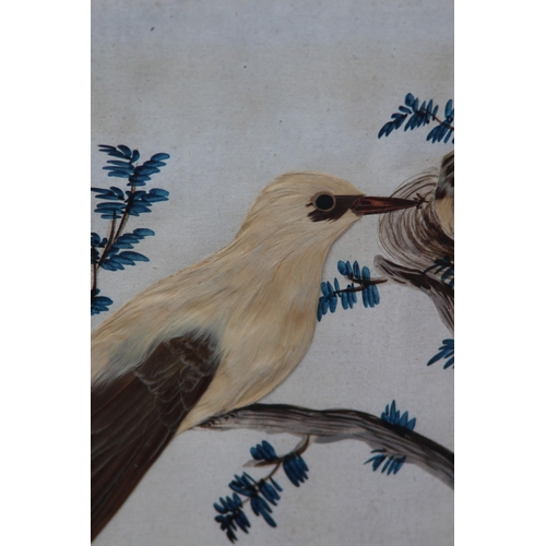 147 - QUANTITY OF BIRD PICTURES MADE FROM ORIGINAL FEATHERS (MQ)
68 X 50CM