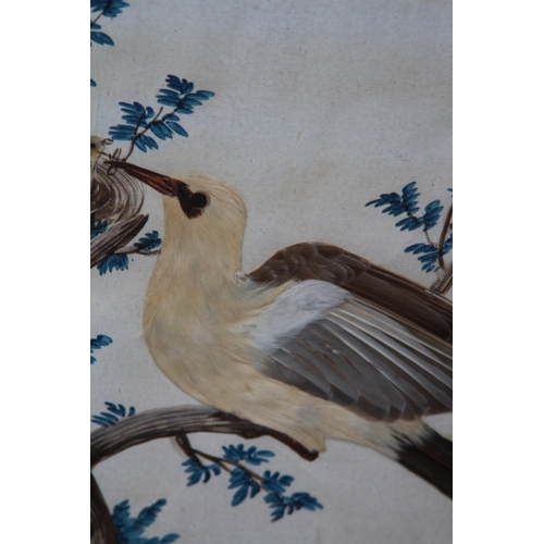 147 - QUANTITY OF BIRD PICTURES MADE FROM ORIGINAL FEATHERS (MQ)
68 X 50CM