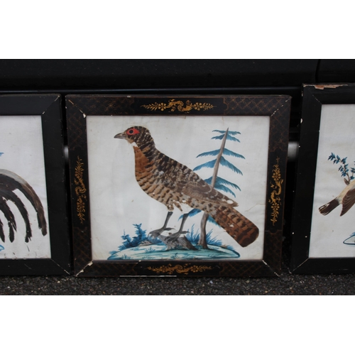 147 - QUANTITY OF BIRD PICTURES MADE FROM ORIGINAL FEATHERS (MQ)
68 X 50CM