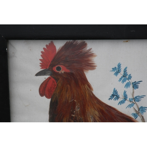 147 - QUANTITY OF BIRD PICTURES MADE FROM ORIGINAL FEATHERS (MQ)
68 X 50CM