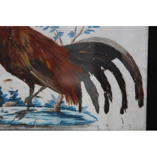 147 - QUANTITY OF BIRD PICTURES MADE FROM ORIGINAL FEATHERS (MQ)
68 X 50CM