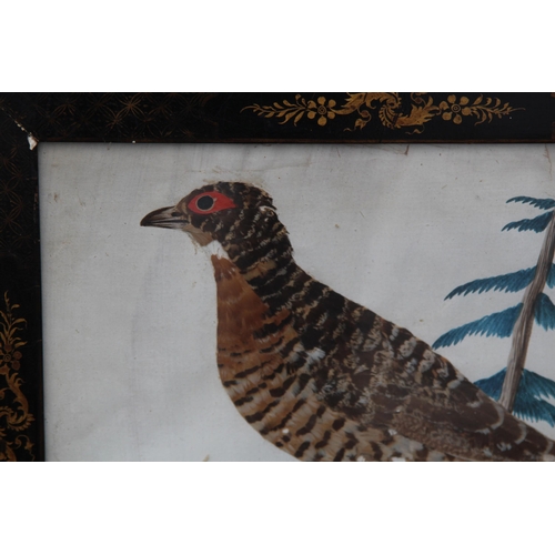 147 - QUANTITY OF BIRD PICTURES MADE FROM ORIGINAL FEATHERS (MQ)
68 X 50CM