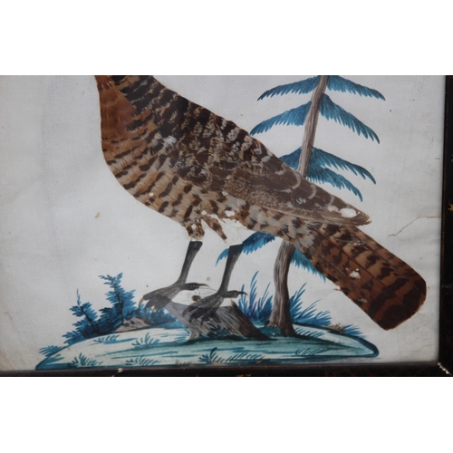 147 - QUANTITY OF BIRD PICTURES MADE FROM ORIGINAL FEATHERS (MQ)
68 X 50CM