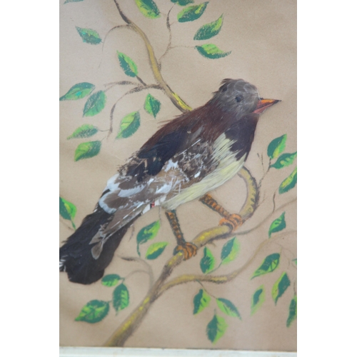 147 - QUANTITY OF BIRD PICTURES MADE FROM ORIGINAL FEATHERS (MQ)
68 X 50CM