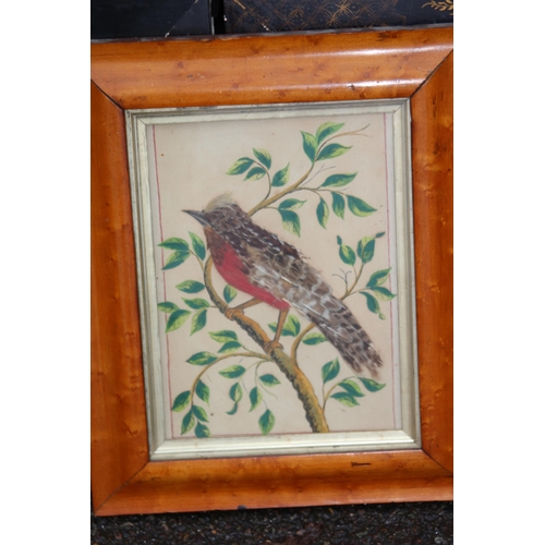 147 - QUANTITY OF BIRD PICTURES MADE FROM ORIGINAL FEATHERS (MQ)
68 X 50CM