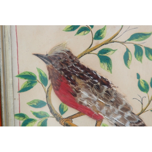 147 - QUANTITY OF BIRD PICTURES MADE FROM ORIGINAL FEATHERS (MQ)
68 X 50CM