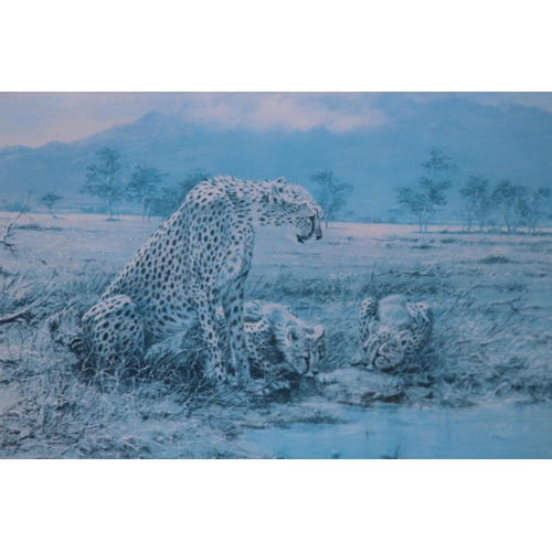 171 - JOHN SEEREY LESTER PAINTING OF LEOPARDS 
79 X 66CM